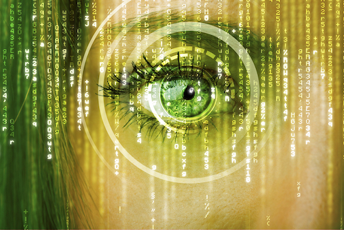 Cyber Crime Lawyer's Eye Retina Scan