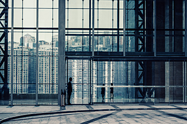 Global Cross-Border Investigations