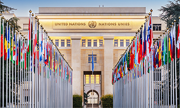 International and Transnational Criminal Law